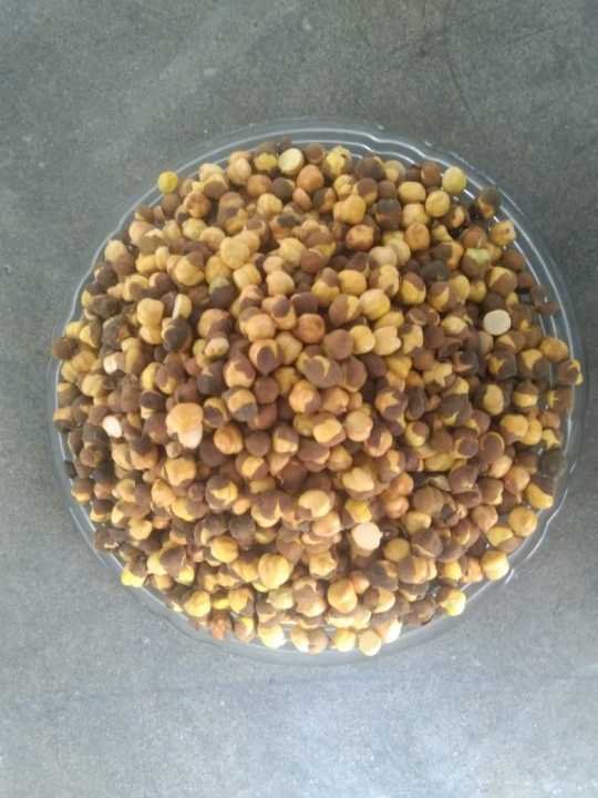 Premium Roasted Bhuna Chana – High Protein & Fiber Snack | 100% Natural ...