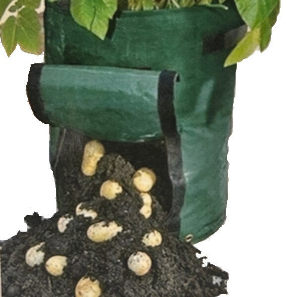 Potato Grow Bag 10 Gallons (14 inches depth, 15.5 inches diameter), Non-woven Breathable Fabric Sweet Potato / Onion/ Carrot Planter, Velcro Window Vegetable Peanut Growing Box Bucket Pot