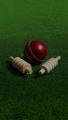 Professional Hard Ball For Cricket - Hardball Red/white. 
