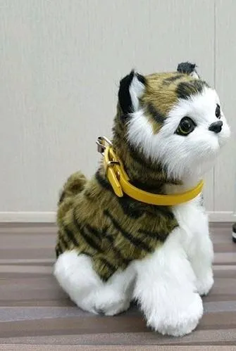 Sensor%20Stuff%20Cat%20Toy%20-%20Image%202