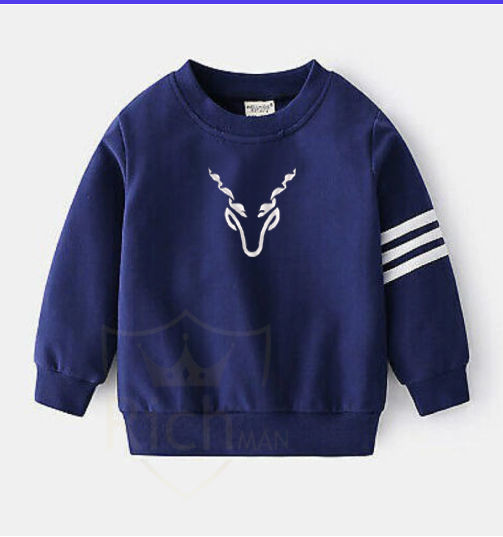 RealBoss-%20Kids%20Royal%20Tracksuit%20Sweatshirt%20Set%20Jumper%20and%20Bottoms%20PE%20Trouser%20and%20Shirt%20-%20Premium%20Quality%20and%20Fashionable%20Kids%20Royal%20Tracksuit%20Set%20-%20Image%204