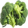 Broccoli 230+ High Quality Seeds Best for Home Kitchen Gardening High Germination Rate. 