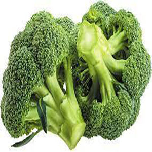 Broccoli 230+ High Quality Seeds Best for Home Kitchen Gardening High Germination Rate