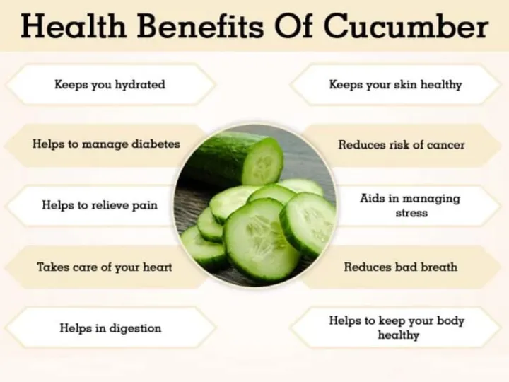 20+%20Cucumber%20Desi%20Kheera%20Kitchen%20Gardening%20Vegetable%20Seeds%20-%20Image%207