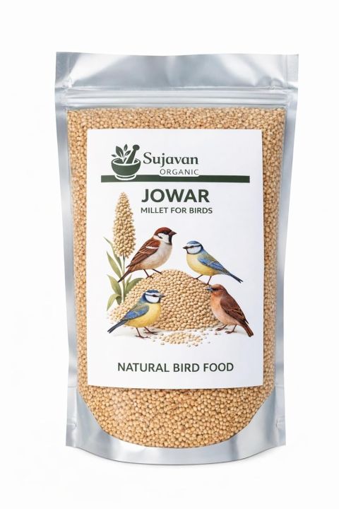 Jowar Bird Food – 1KG | Natural & Preservative-Free Sorghum Seeds for ...