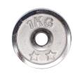 Weight Metal Plate - 1KG - Silver. 
