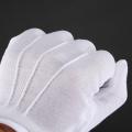 Gloves Virus Protection  - Anti Slip - Mobile Phone Touch Screen Friendly. 