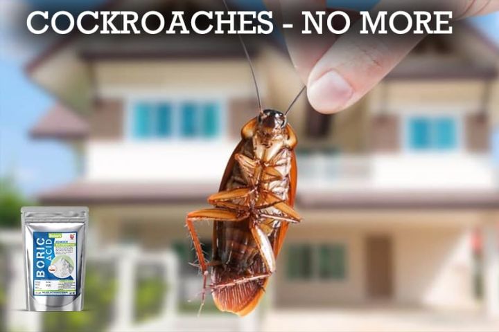 Multi-Purpose%20Boric%20Acid%20Powder%20%7C%20Powder%20for%20Cockroaches%20%7C%20Carrom%20Powder%20%7C%20Powder%20for%20Rice%20Preservation-100gm%20-%20Image%203