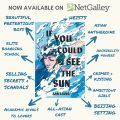 If You Could See the Sun BY Ann Liang. 
