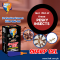 Cockroach Pest Control Solution - Cockroach killer Gel - Pakistan’s Best cockroach killer gel - Kills 100% Insects - Sharp Formula By Rootout. 