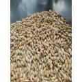 Barley joo Seeds Barley whole seeds Organic 1 kg. 