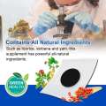 Sumifun 6pcs Prostatic Herbal Urological Patches. 