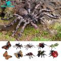 Spider Toy for Children Halloween Spider Model Ornament Simulation Plastic Figurine Kids Toy Desktop Garden Tricky Gift Spider Decoration for Home. 
