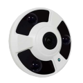 Fish Eyes 360 Analog Camera. 