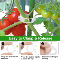 250 Pcs Tomato Clips, Plant Support Clips and J Tomato Hooks Plant Clips and 50 Pcs J Tomato Hooks White Plastic Lattice Clamp. 