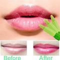 Professional Lipstick Magic Colour Temperature Change Color Lip. 