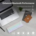 ANŃE PRO 2, 60% Wired/Wireless Bluetooth Mechanical Keyboard (Gateron Brown Switch/White Case) - Full Keys Programmable - True RGB Backlit - Tap Arrow Keys - Double Shot PBT Keycaps - NKRO - 1900mAh Battery.. 