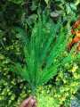 Artificial Mini Grass Leaves Plant Bunch Artificial Green Bunch Artificial Filler Leaves Green Bunch. 