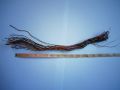 Jumper Wires Circuit Board Soldering Extension Wire - 1 Feet (12 inches). 
