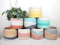 White Cement and Plaster of Paris Color - Concrete Pigment for Pots Making - Olive Color. 