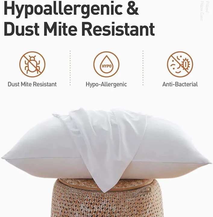 Beddy's%20Studio%20Korean%20&%20Ball%20Fiber%20Bed%20Pillows,%20Cushions,%20Neck%20Roll%20%20Home%20&%20Hotel%20Collection%20White%20Sleeping%20Medicated%20Pillow%20with%20Polyester%20Filling%20&%20Pillow%20Covers,%20Cushion%20Covers%20-%20Image%205