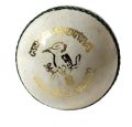 Kookaburra hard ball. 