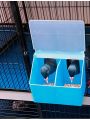 Bird Feeding Box Poultry, Chicken, Pigeon, Hen(Two Hole Feeder). 