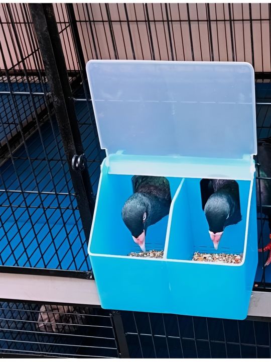 Bird Feeding Box Poultry, Chicken, Pigeon, Hen(Two Hole Feeder)