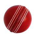 Cricket Training Practice Ball for Indoor Outdoor use (Not Hardball). 