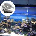 Aquarium Terrarium Fish Tank Dinosaur Skull Bone Resin Ornament Decor Double crown Dragon. 