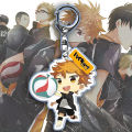 Anime Keyring Anti-crack Bag Pendant Anime Volleyball Boy. 