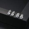 Men's Single Stone Earring Studs Couples Earrings Fashion Contracted 5mm 6mm Zircon Rock Hip Hop Jewelry Silver Color. 