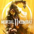 Mortal Kombat 11 PC Digital Game Steam Key. 
