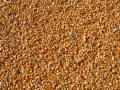 Corn Flour 1kg. 