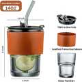 Tumbler Mug with Lid, Glass Straw and Protective Anti-Skid Leather Sleeve for Hot and Cold Beverages Tea Coffee Smoothies Fruit Juice Travel Mug .435ml. 