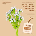 Zhegao bricks are compatible with Lego bouquets for kids to build flowers for girls puzzle toys for boys puzzle roses. 