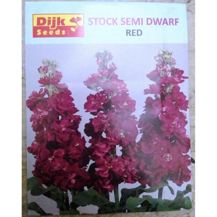 Winter Flower Stock (Color: Red)