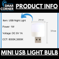 Portable Mini USB Led Night Light Bulbs | Warm & White | USB Supported reading & bedside Bulbs, work with Laptops, Powerbanks, Chargers & Other USB ports. 