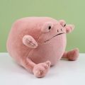 RKcode 30cm Ricky Rain Frog Plush Toys Anime Silly Frog Peluche Dolls Soft Green Plushies Toys Baby Kids Birthday Gift Valentine's Day. 