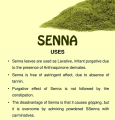 Sana Makki Powder - Senna Leaves Powder - 50 gm - Cassia Angustifolia Powder. 
