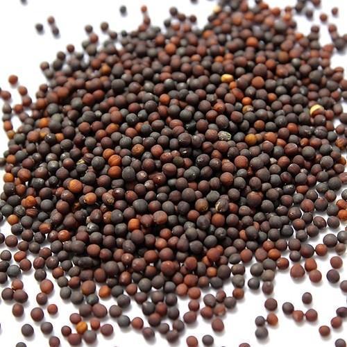 Cauliflower Seeds (Phol Ghobi) Kitchen Gardening Best Germination