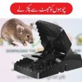 Rat Trap Big Size Mouse Trap. 