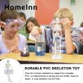 Flexible Jointed Mini Skeleton Realistic Mini Human Skeleton Model for Study Decoration Perfect Halloween Gift. 