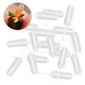 50pcs Mini 4ml Plastic Squeeze Transfer Pipettes Dropper Disposable Pipettes For Strawberry Cupcake Ice Cream Lingxue. 