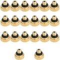 20Pcs Brass Misting Nozzles for Cooling System 0.012 Inch(0.3 mm) Water Spray Nozzle Sprinklers Misting Cooling. 