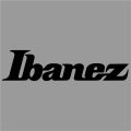 Guitars Stickers Suitable for Ibanez logo Guitar vinyl Sticker Decal Headstock ESP Custom Guitar Restoration Logo Waterslide. 