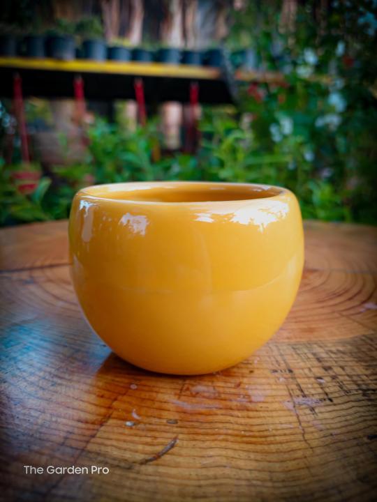 Ceramic Pots, 3inch Size, Available in Different Designs, Ceramic Pot For indoor plants Decoration, Indoor Décor, Cactus Succulents Plants, Unique and Elegant designs