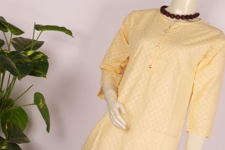 Naseem%20Textile%20Chikankari%202%20Piece%20Stitched%20Suit-Kurti%20&%20Trouser%20%20kurti%20trouser%20-%20Image%203