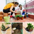 Set of 3 Mini Garden Tool Hand Planting Tools Small Shovel Rake Spade Wood Handle Planting Tools. 