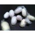 Abresham 250 gram. 